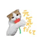 かんたろうのリアクションスタンプ（個別スタンプ：33）