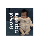 fumifumi3（個別スタンプ：1）