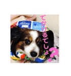 fumifumi3（個別スタンプ：9）