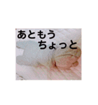 fumifumi3（個別スタンプ：11）