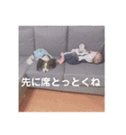 fumifumi3（個別スタンプ：22）