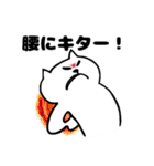 初老ねこスタンプ（個別スタンプ：1）