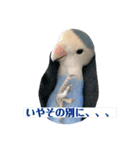 青いコザクラインコの一言（個別スタンプ：10）