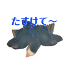 青いコザクラインコの一言（個別スタンプ：16）