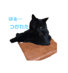 黒猫のルカちゃん（個別スタンプ：4）