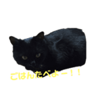 黒猫のルカちゃん（個別スタンプ：5）