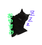 黒猫のルカちゃん（個別スタンプ：8）