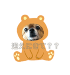 りんちゃんの日常会話（個別スタンプ：3）