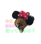 りんちゃんの日常会話（個別スタンプ：6）