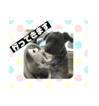 雑種犬ホルン 2（個別スタンプ：3）