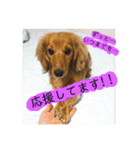 きあらスタンプ（個別スタンプ：1）