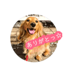 きあらスタンプ（個別スタンプ：2）