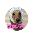 きあらスタンプ（個別スタンプ：3）