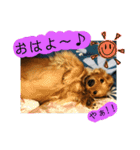きあらスタンプ（個別スタンプ：18）