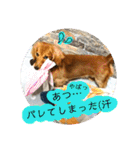 きあらスタンプ（個別スタンプ：19）