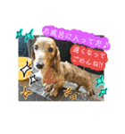 きあらスタンプ（個別スタンプ：23）