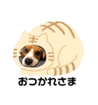 キャビア2♥️（個別スタンプ：13）