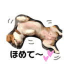 キャビア2♥️（個別スタンプ：31）
