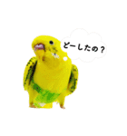 お喋りチョコちゃん（個別スタンプ：4）