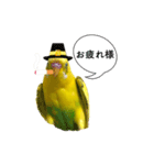 お喋りチョコちゃん（個別スタンプ：5）