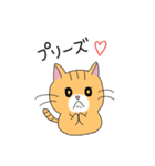 短足マンチカンの猫スタンプ（個別スタンプ：10）