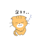 短足マンチカンの猫スタンプ（個別スタンプ：12）