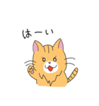 短足マンチカンの猫スタンプ（個別スタンプ：15）