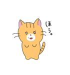短足マンチカンの猫スタンプ（個別スタンプ：16）