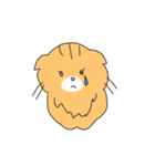 短足マンチカンの猫スタンプ（個別スタンプ：19）