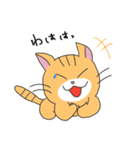 短足マンチカンの猫スタンプ（個別スタンプ：22）