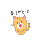 短足マンチカンの猫スタンプ（個別スタンプ：24）