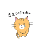 短足マンチカンの猫スタンプ（個別スタンプ：27）