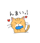 短足マンチカンの猫スタンプ（個別スタンプ：31）