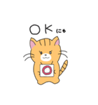 短足マンチカンの猫スタンプ（個別スタンプ：34）