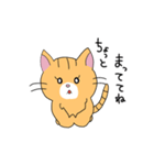 短足マンチカンの猫スタンプ（個別スタンプ：36）