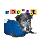 のあちゃんのすたんぷ（個別スタンプ：10）