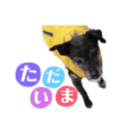のあちゃんのすたんぷ（個別スタンプ：14）