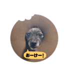 のあちゃんのすたんぷ（個別スタンプ：15）