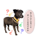 のあちゃんのすたんぷ（個別スタンプ：18）