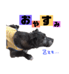のあちゃんのすたんぷ（個別スタンプ：19）