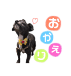 のあちゃんのすたんぷ（個別スタンプ：20）