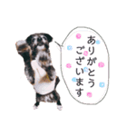 のあちゃんのすたんぷ（個別スタンプ：23）
