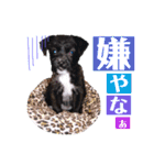 のあちゃんのすたんぷ（個別スタンプ：25）