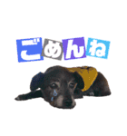 のあちゃんのすたんぷ（個別スタンプ：31）