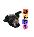 のあちゃんのすたんぷ（個別スタンプ：32）