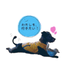 のあちゃんのすたんぷ（個別スタンプ：35）