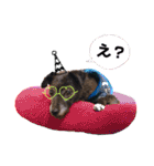 のあちゃんのすたんぷ（個別スタンプ：36）