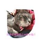 えなぽよの愛するスタンプたち（個別スタンプ：8）