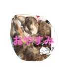 えなぽよの愛するスタンプたち（個別スタンプ：14）