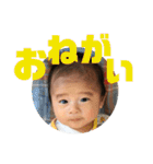 すけちゃま（個別スタンプ：16）